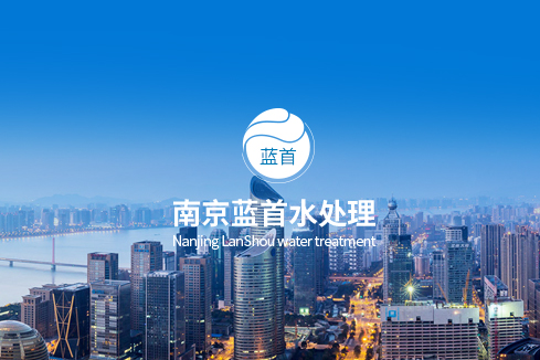 崇阳建站-南京蓝首水处理设备有限公司