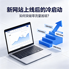 崇阳建站-新网站上线后的冷启动：如何突破零流量困境？